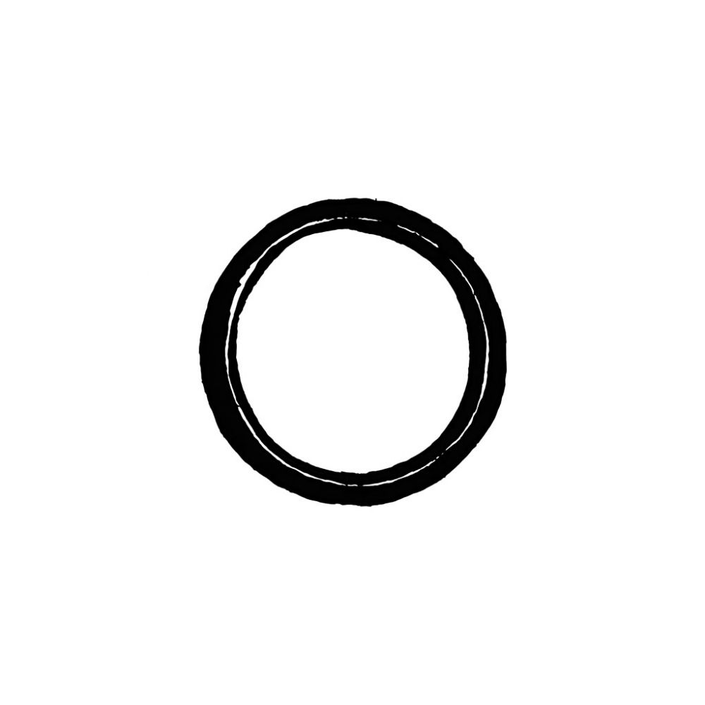 20 - Split Ring