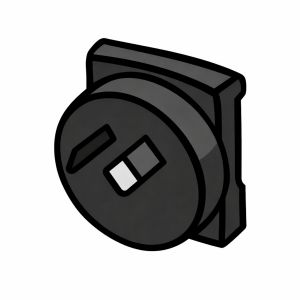 24 - AUS Plug