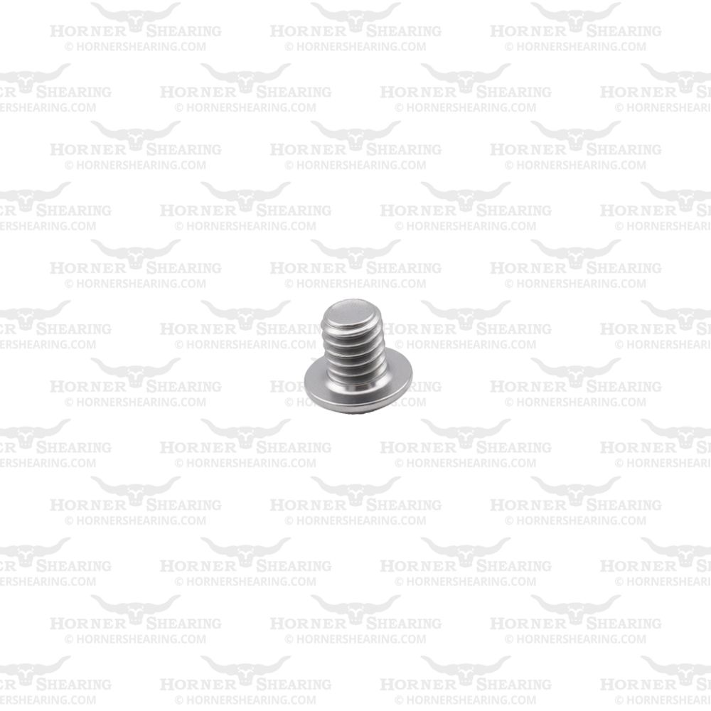 6 - Fork Retaining Screw (M4 x 6)
