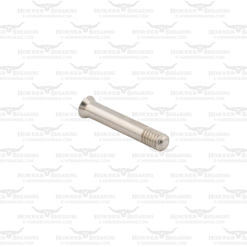 5 - Fork Body Retaining Screw