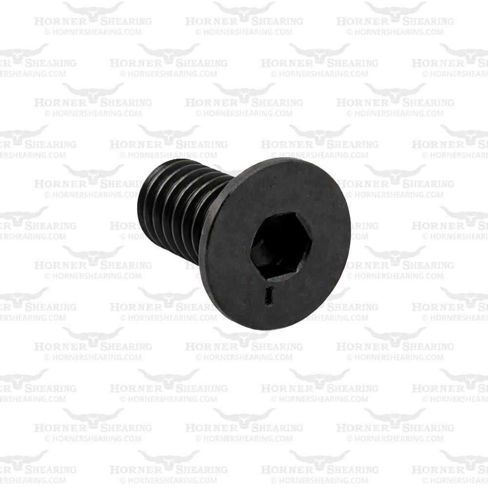 5 - Screw M4 x 8mm