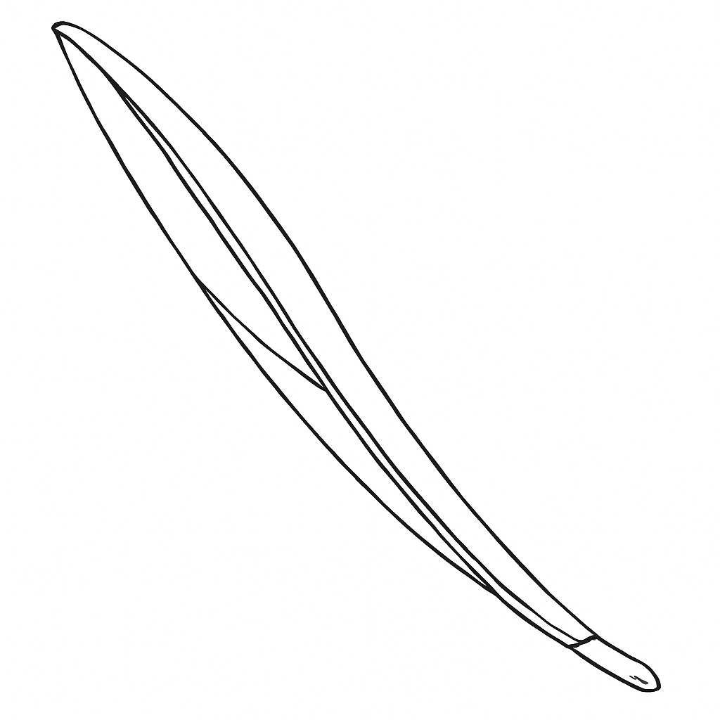 20 - Wrist Cord