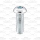 Screw M8 x 25mm for Lister Nexus