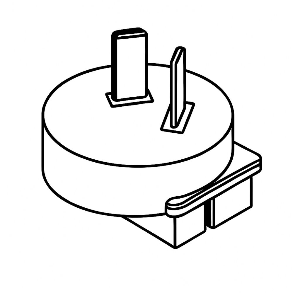 29 - Plug AU 
