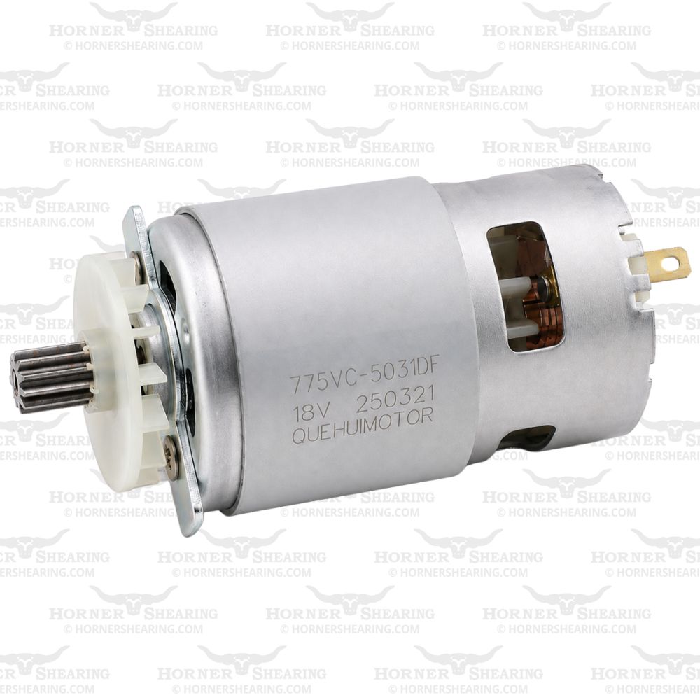 31 - Motor