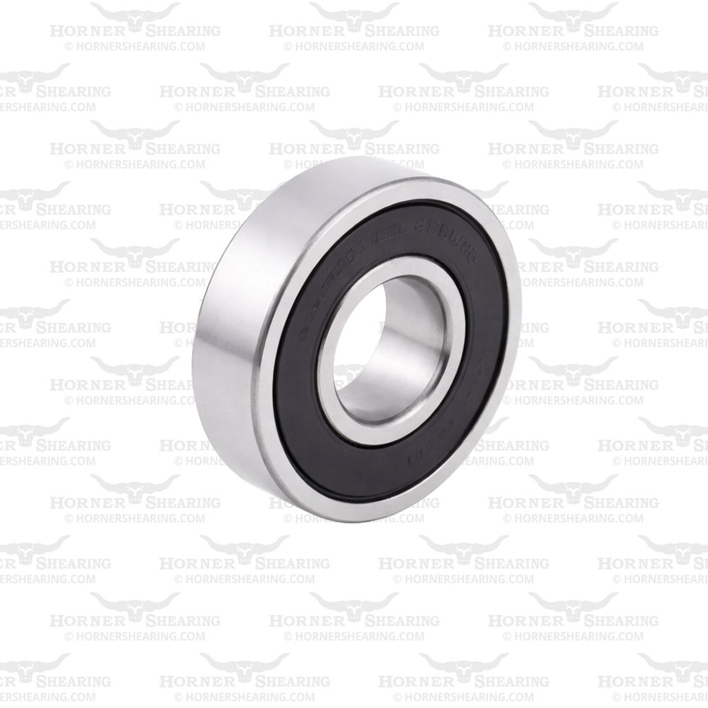 31 - 6000 2RS Bearing
