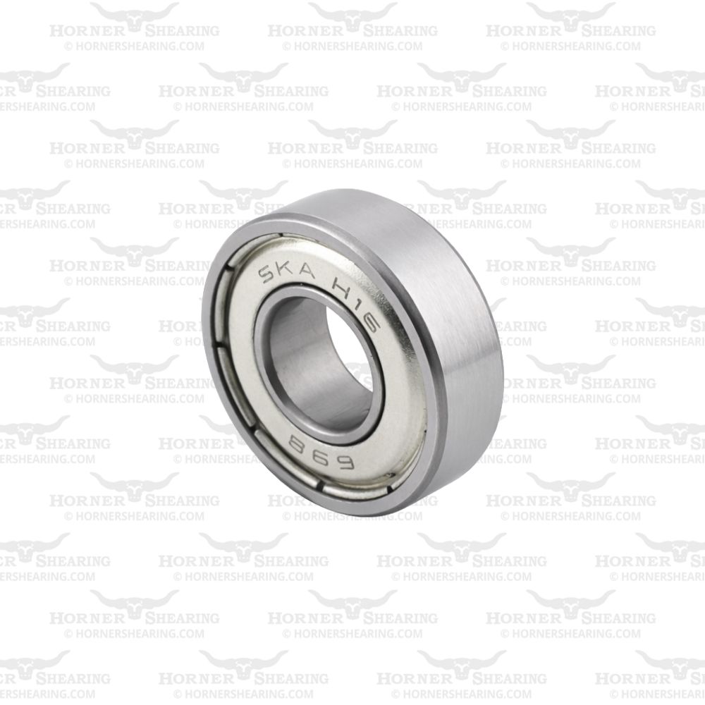 37 - Body Bearing