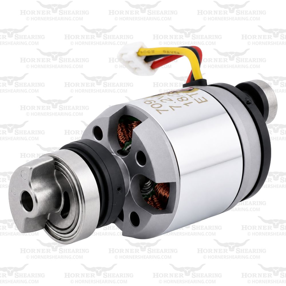4 - Motor BDC Complete