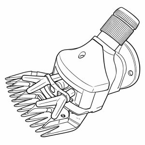 Complete Head