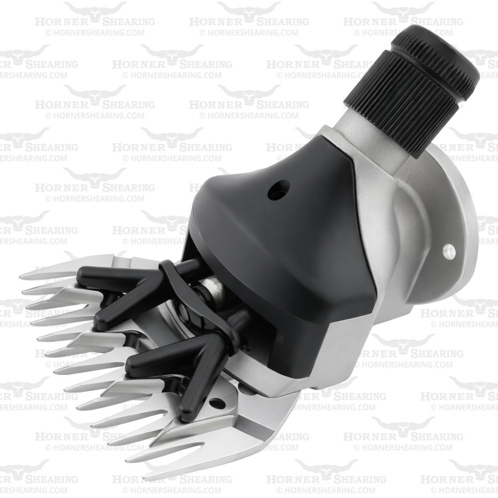 Complete Head