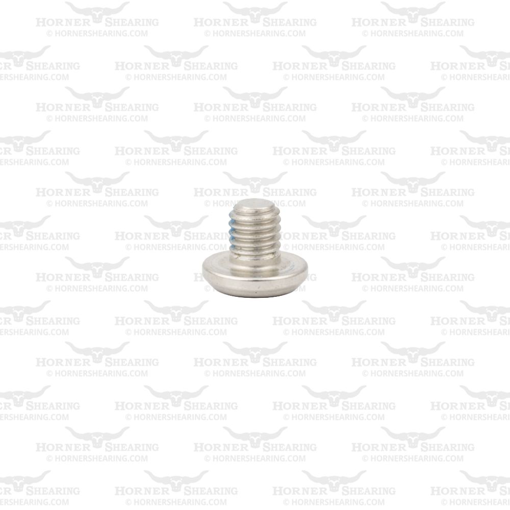 31 - Pan-head Screw M4  x 5