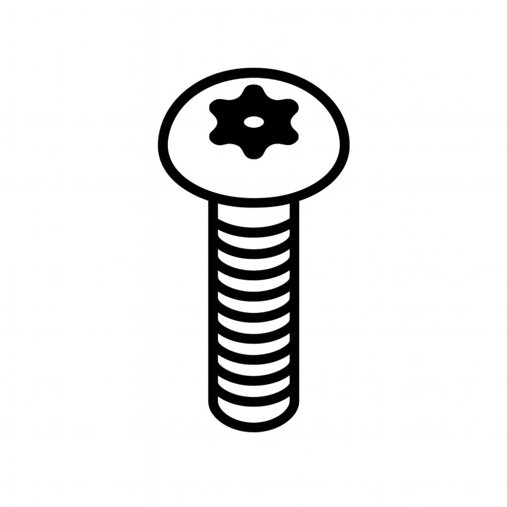 31 - LS Screw, Torx M6x12