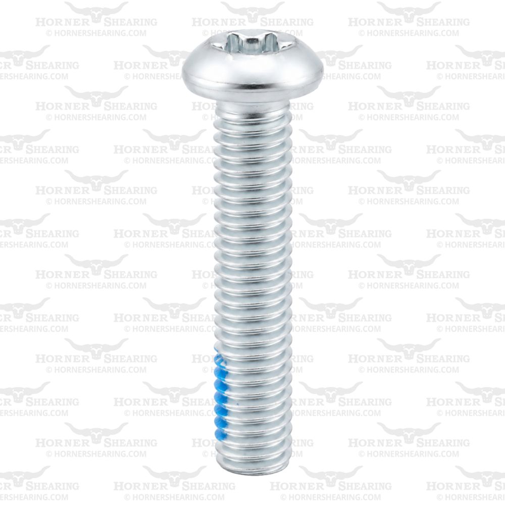 5 - LS Screw, Torx M6 x 30