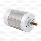 Motor for Lister Eclipse Clipper
