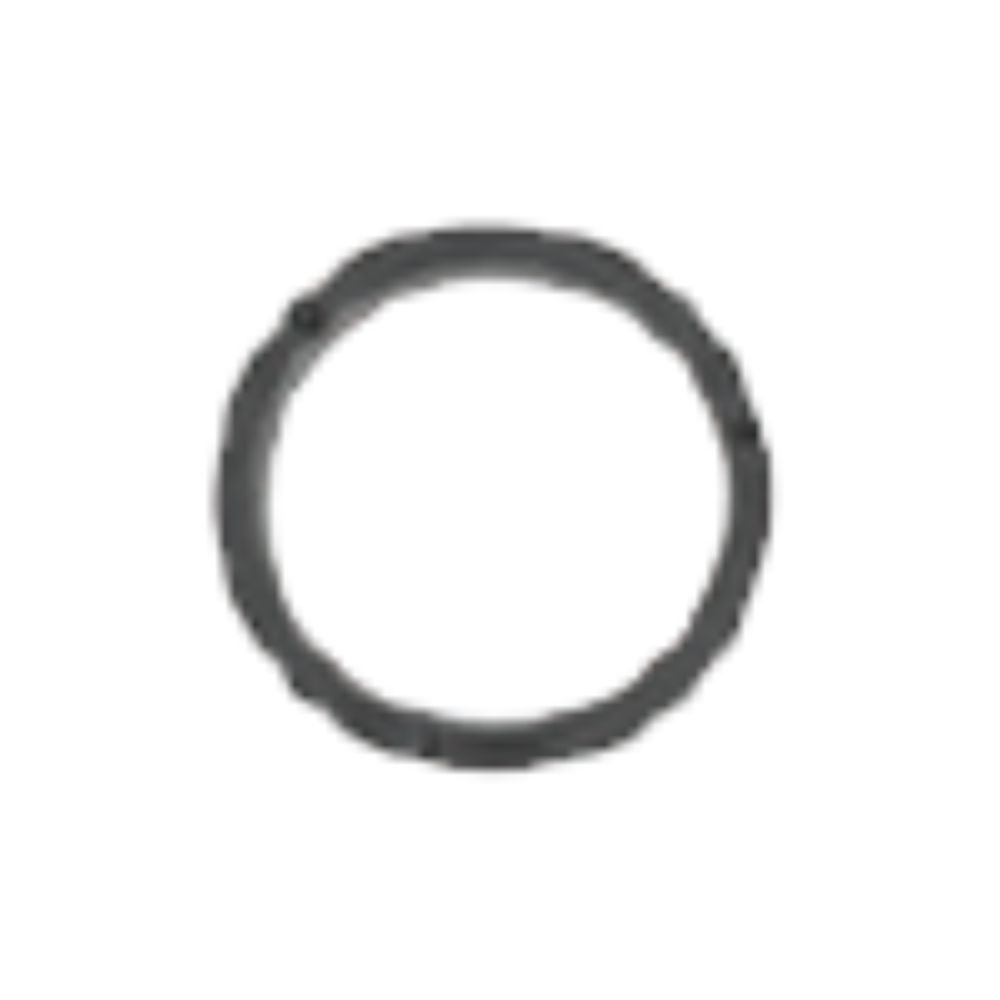 21 - Radial Seal