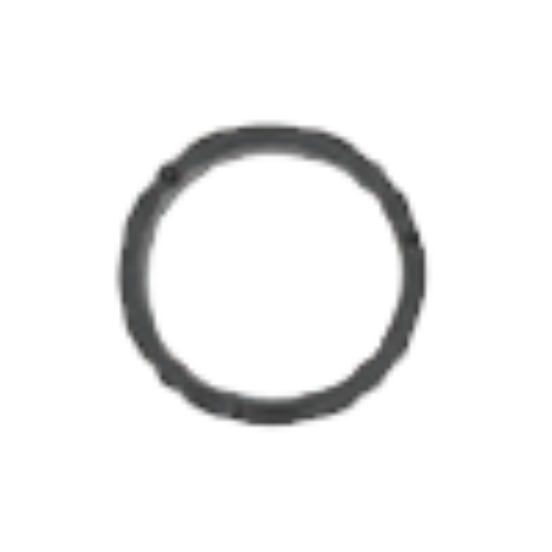 21 - Radial Seal