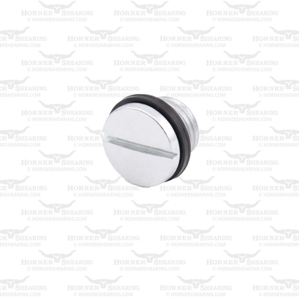 21 - Oil Hole Screw and Washer