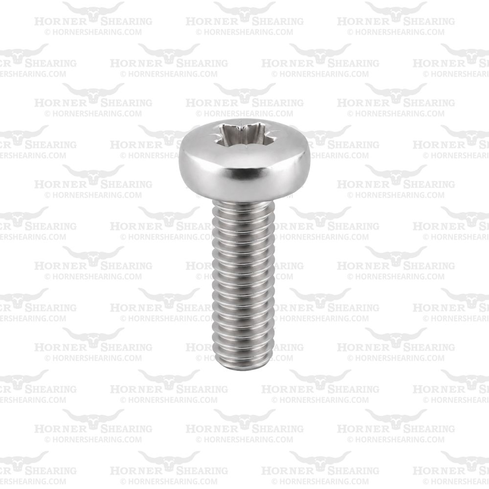 16 - M4 x 12 Pendulum Outer Retaining Plate Screw