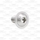 M6 x 10 Inner Guard Screw for Longhorn Revolution Grinder