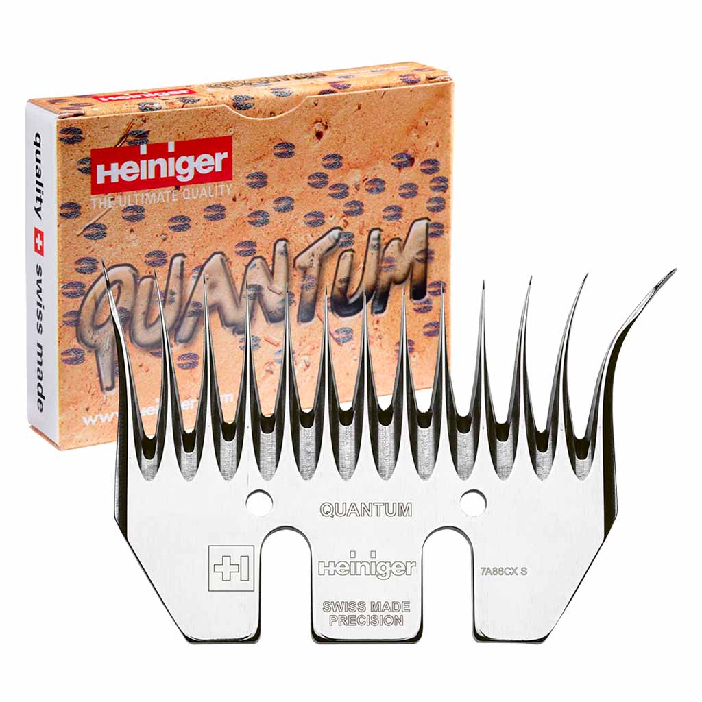 Heiniger Quantum Comb