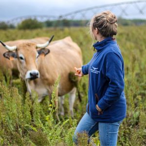 Longhorn Shearing Highland Fleece