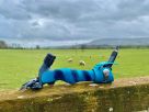 SFX and Pendle Hill