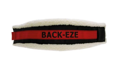 Back-Eze Crutching Belt