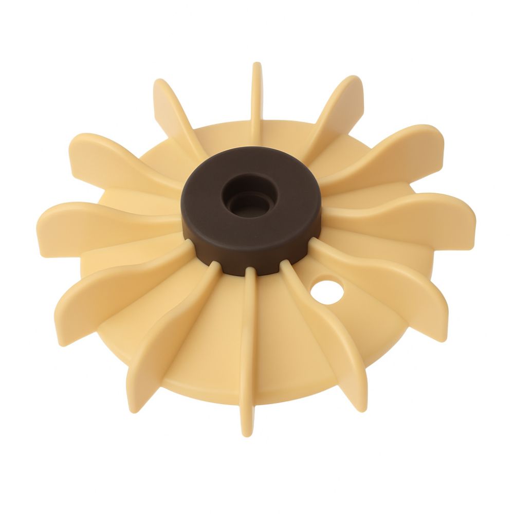 31 - Fan 