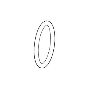 37 - O Ring (Inner)