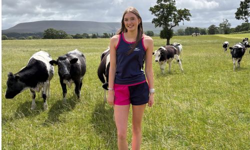 Longhorn Shearing Shorts