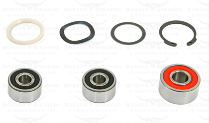 Bearing Kit for Heiniger Handpiece