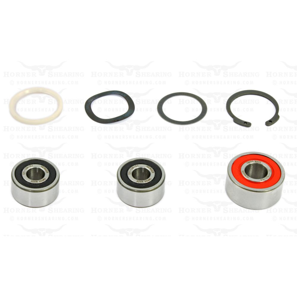 Bearing Kit for Heiniger Handpiece