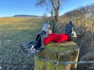 Red Arrow - Lifestyle