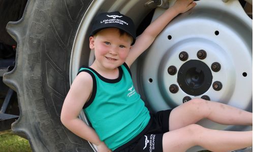 Children's Longhorn Shearing Shorts