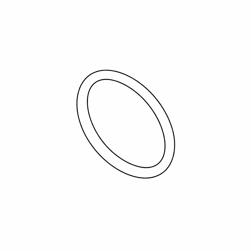 16 - O-Ring (External)