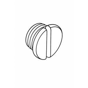 12 - Oil Hole Screw
