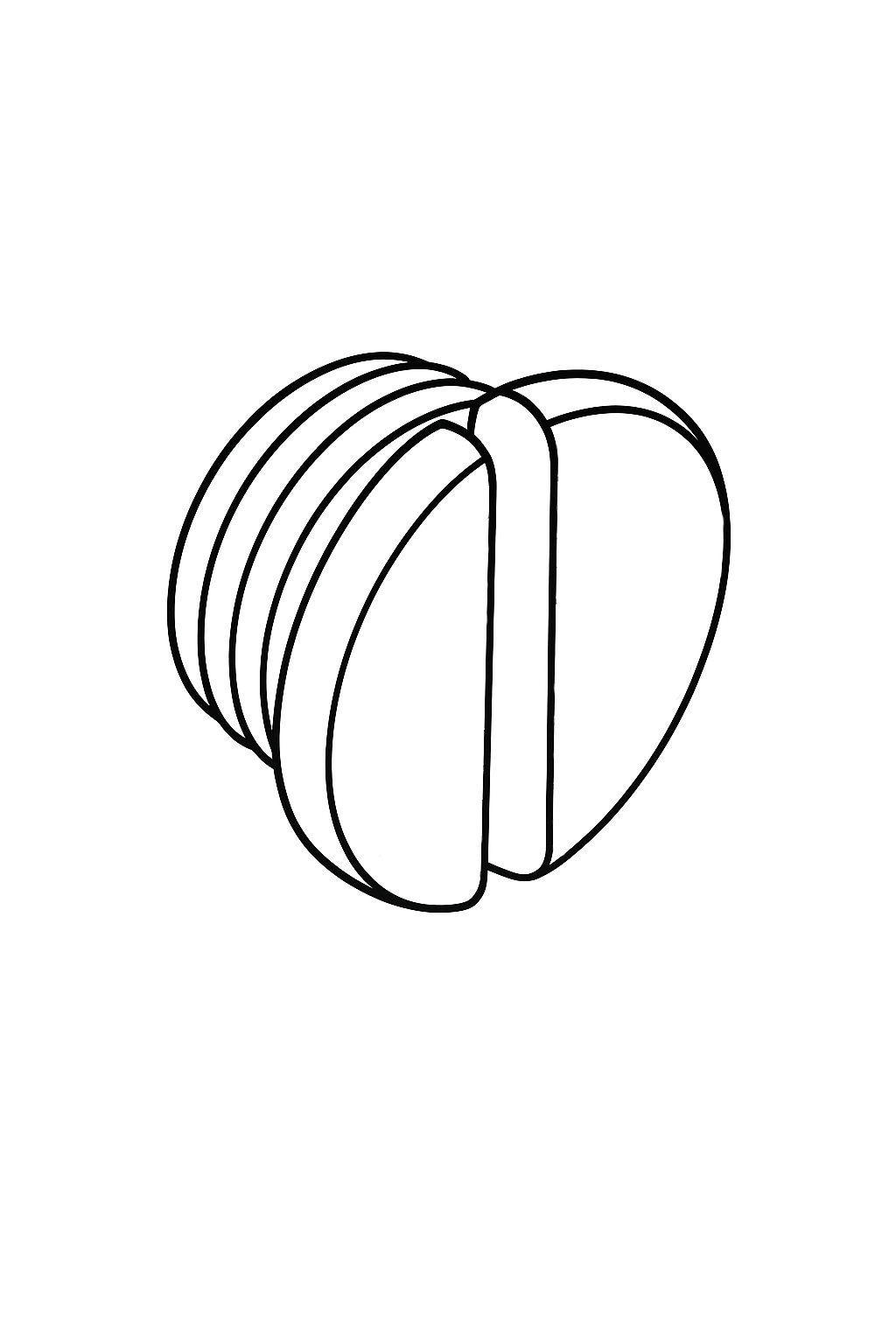 12 - Oil Hole Screw 