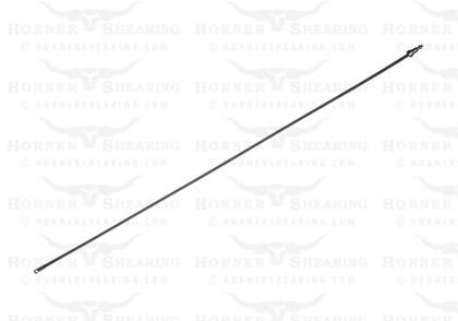 Long Gut for Longhorn