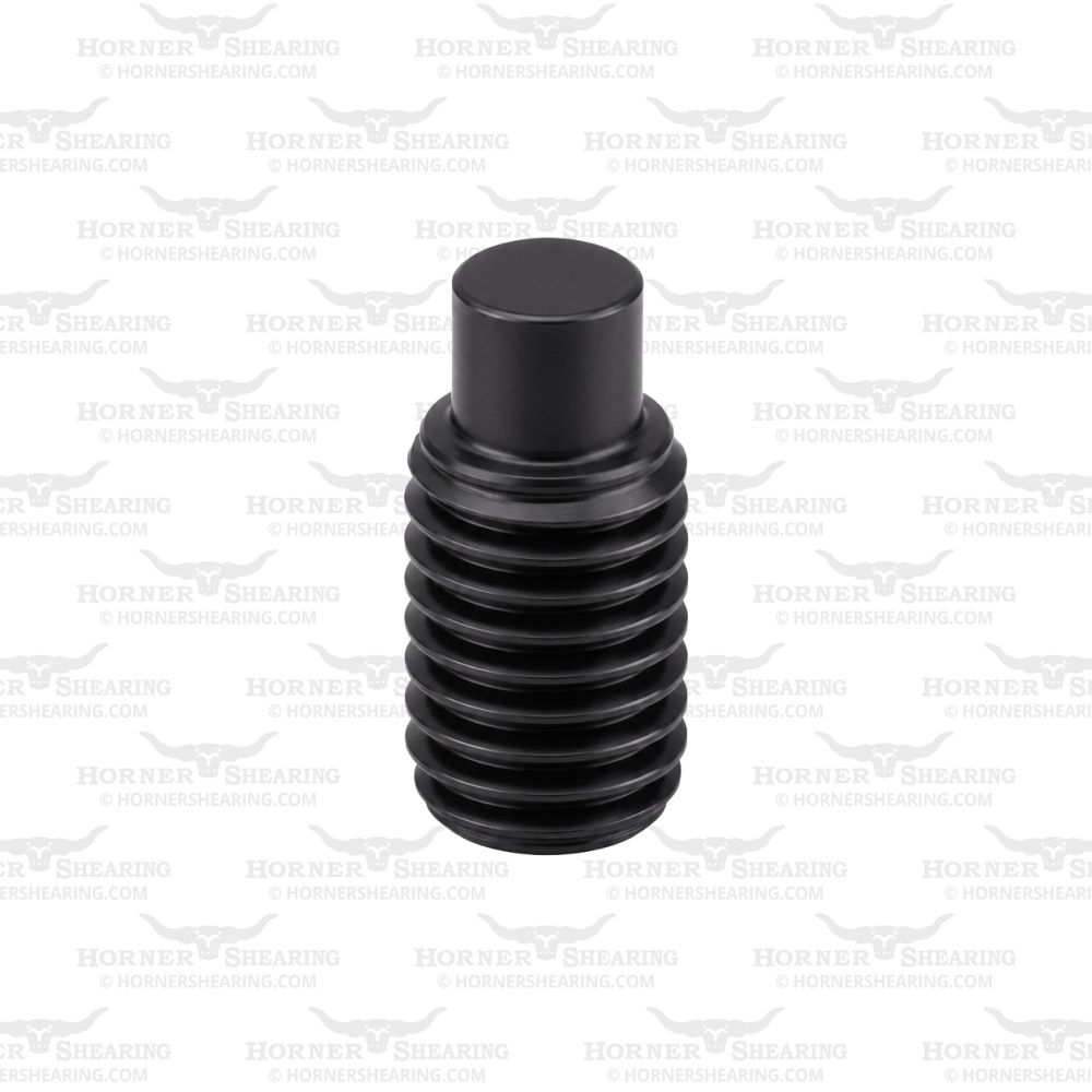 42 - Grubscrew M5 x 8mm