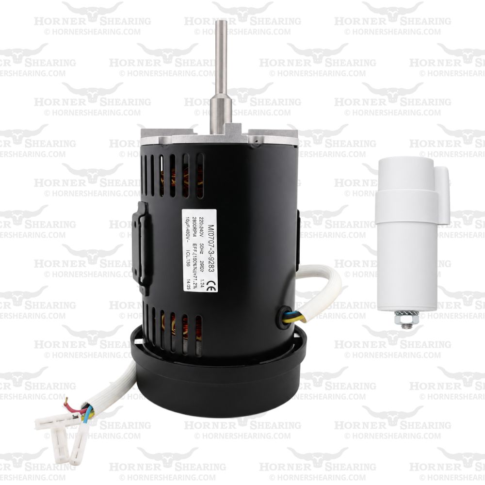 27a - 250W Motor & Capacitor 240V (50Hz)