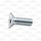 Screw M5 x 10mm for Lister Nexus
