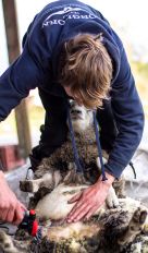 Navy Original Hoodie - Lifestyle