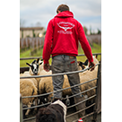 Red Original Hoodie - Lifestyle