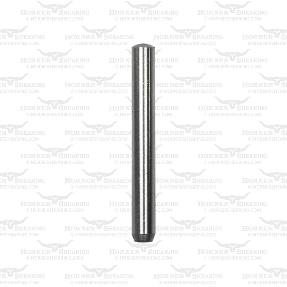Pendulum Pin