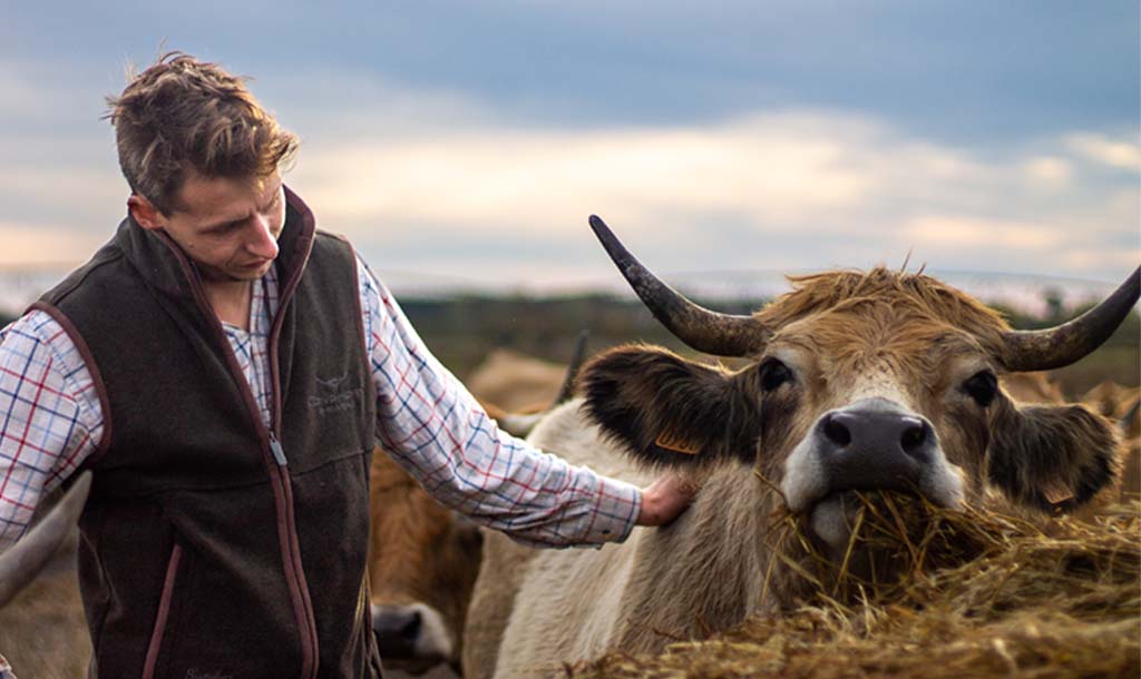 Longhorn Gilet