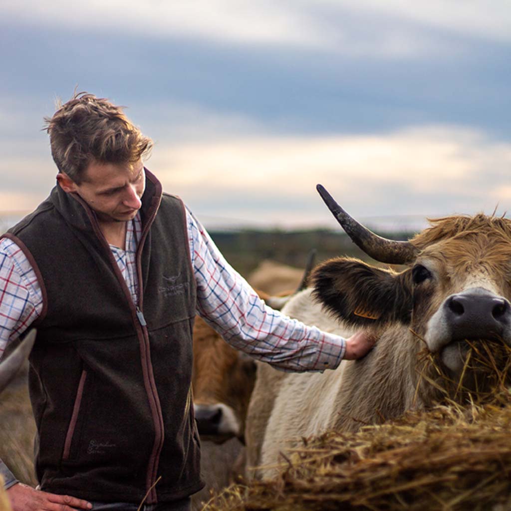 Longhorn Gilet