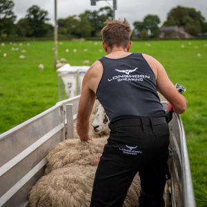 Longhorn Shearing Jeans