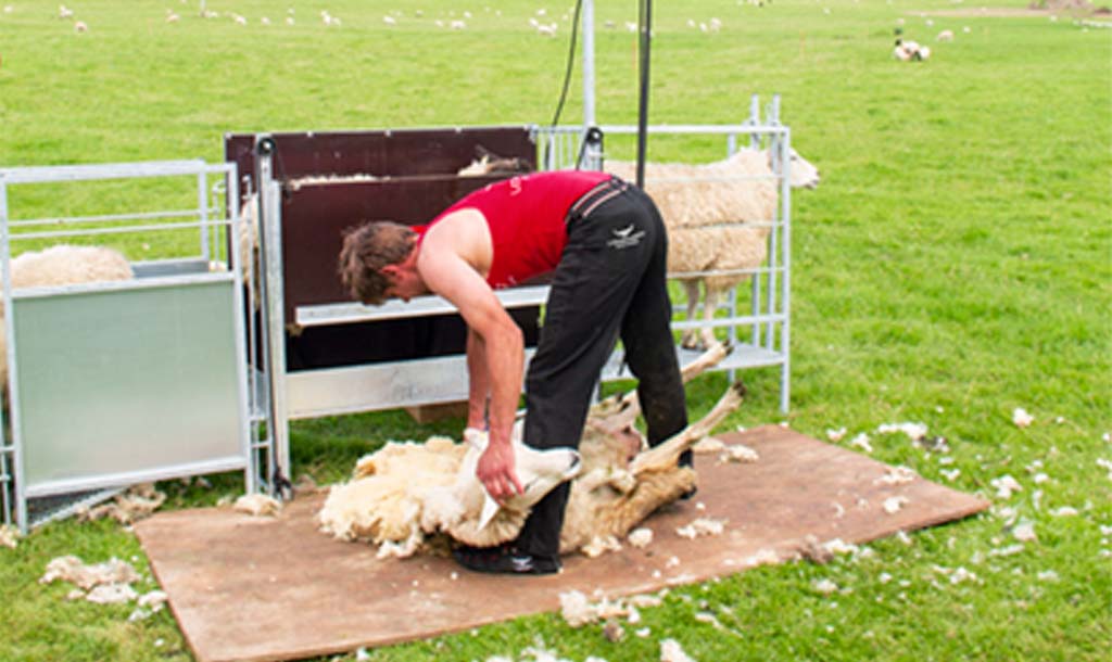 Shearing Trousers