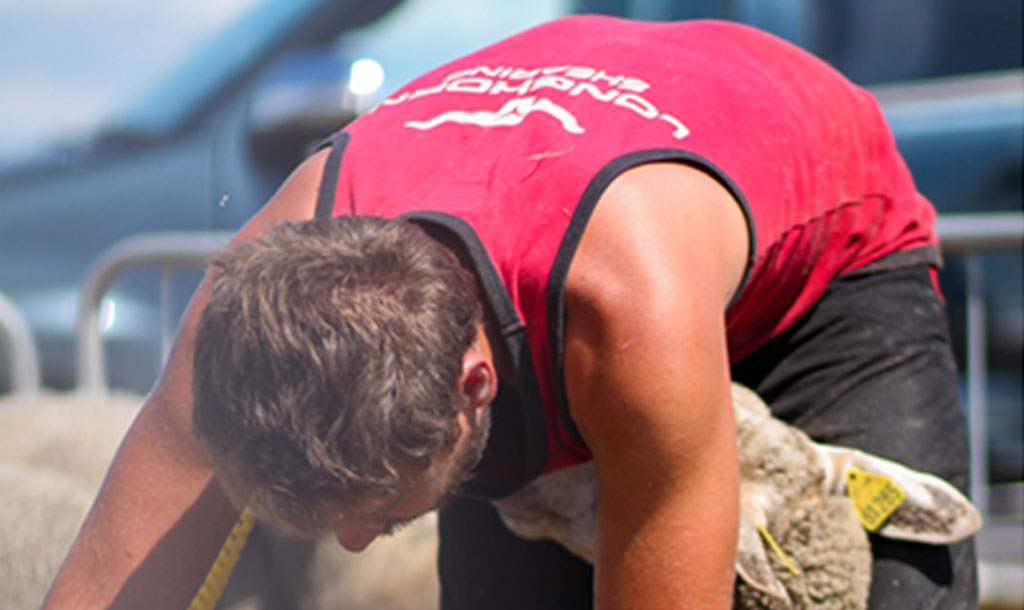 Longhorn Long Tail Shearing Singlet