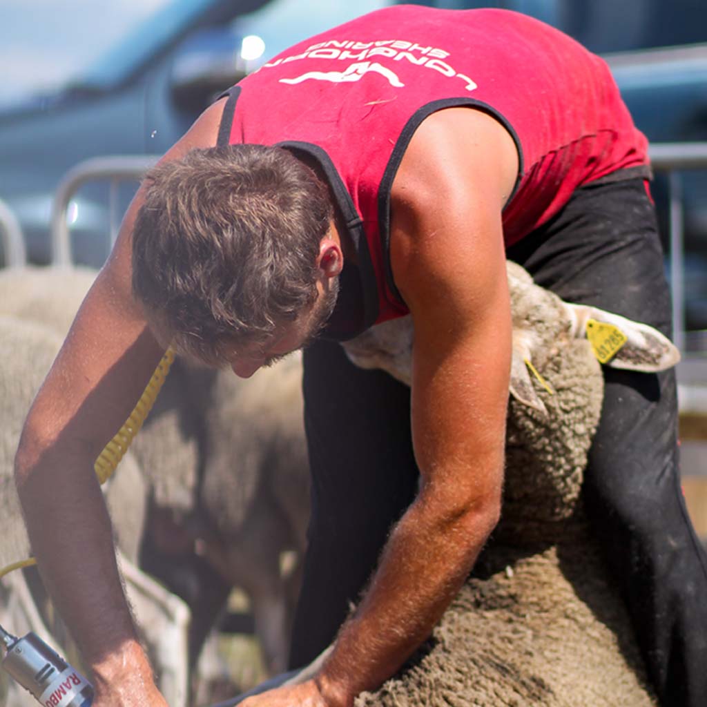 Longhorn Long Tail Shearing Singlet